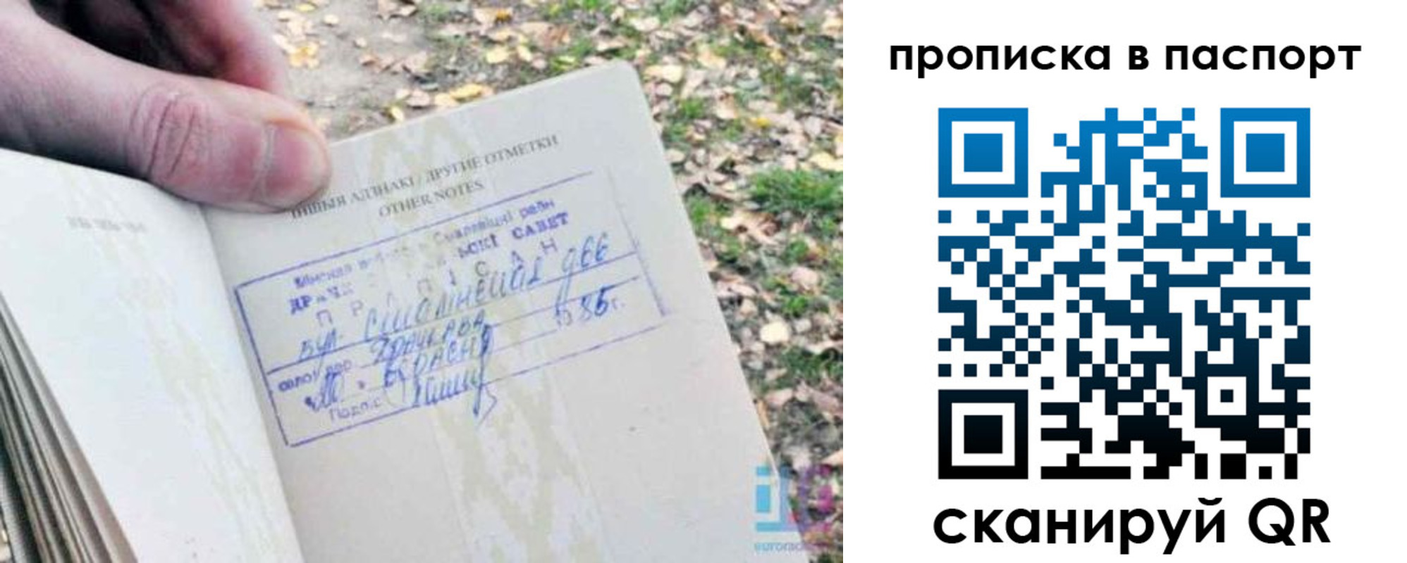 временная регистрация собственник в Павловске